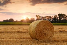 La UE alcanza un superávit agroalimentario récord en 2023