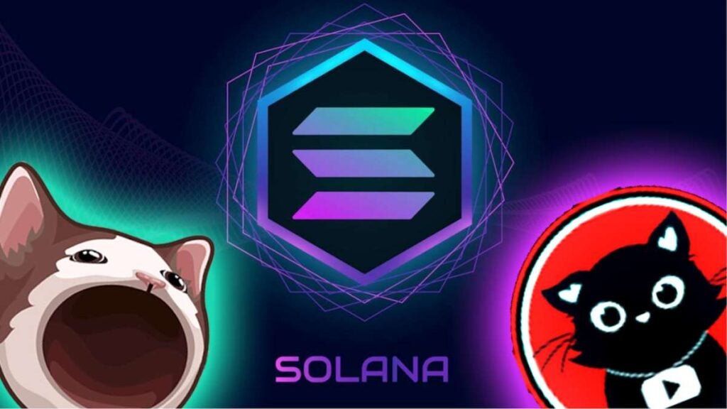 Popcat y Pajamas cat arrasan el mercado de las Solana memecoins con subidas de más del 200%