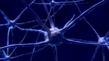 Neuralink enfrenta problemas en su primer implante humano