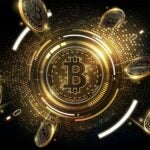 Willy Woo aconseja no ir todo a Bitcoin y mantener liquidez en fiat