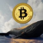 Ballena cripto duplica posiciones en Bitcoin y Ethereum: ¿qué significa para el mercado?