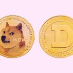 Dogecoin y Shiba Inu apuntan a rebote mientras surgen catalizadores clave en el mercado cripto