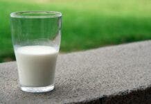 Prezzo del latte alle stelle, il settore va verso il collasso