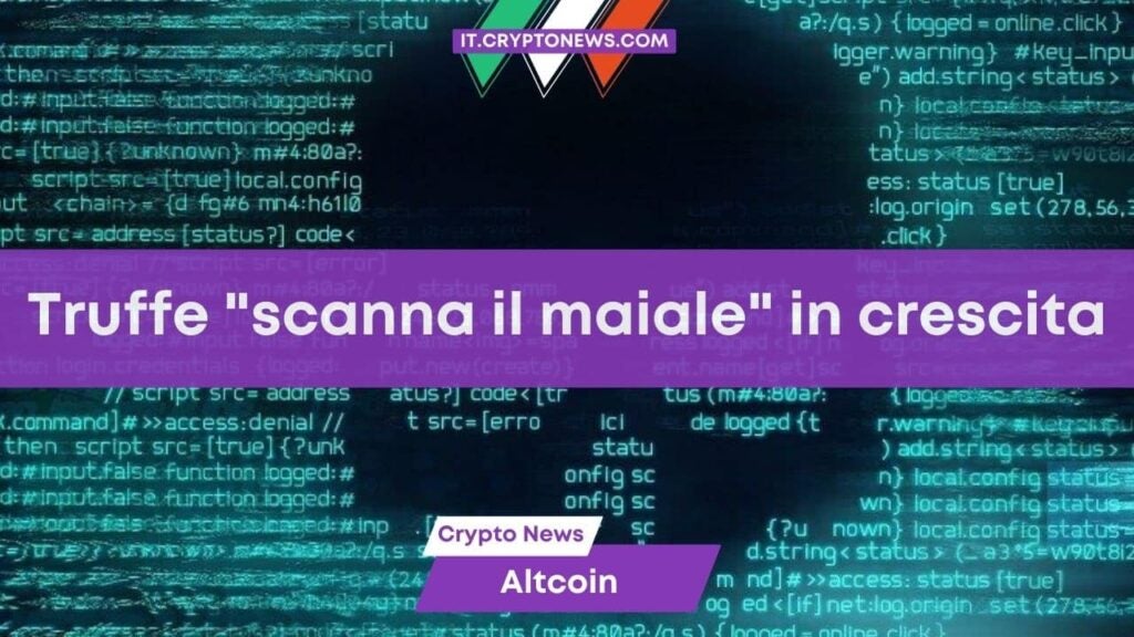 Truffe “scanna il maiale” in crescita: il vice procuratore USA riceve 5-6 email al giorno