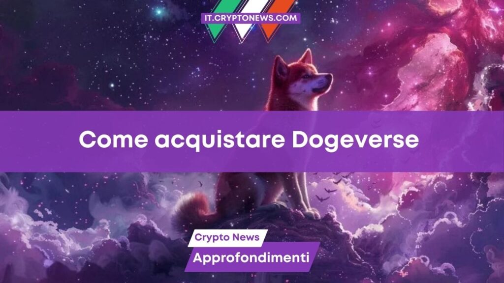 Guida passo a passo su come investire in Dogeverse ($DOGEVERSE)