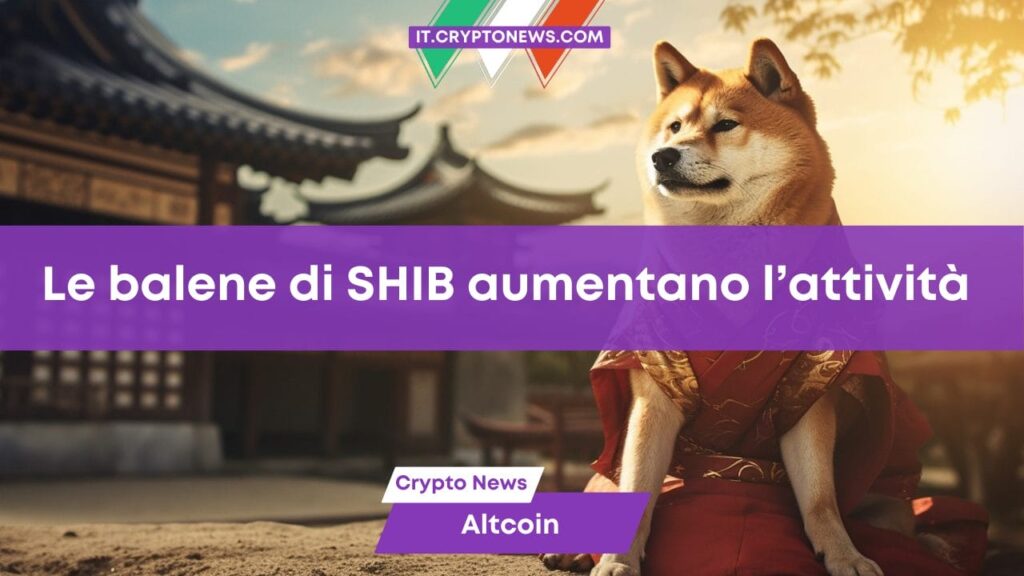 Shiba Inu in bilico a alt=