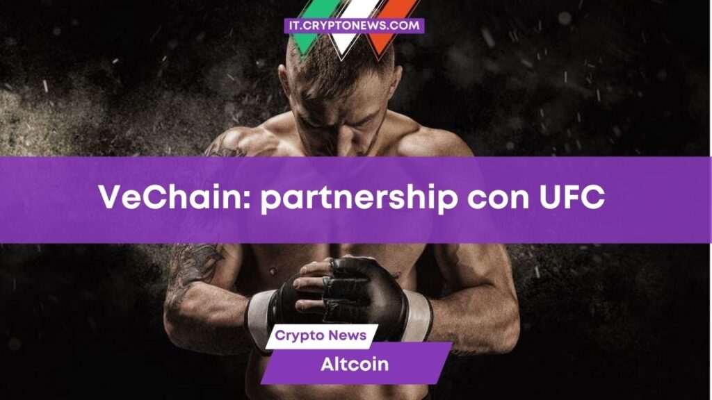 VeChain collabora con la UFC per tokenizzare i guantoni dei combattenti: il token VET esplode!