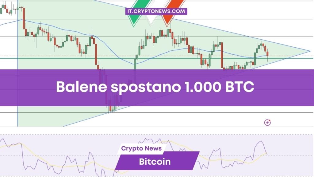 Previsione prezzo Bitcoin: due misteriose balene si risvegliano dopo 10 anni, BTC sale o scende?