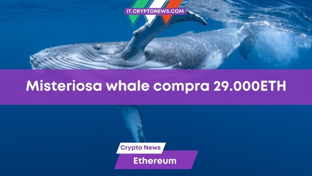 Una misteriosa whale compra 29.000 ETH. È l’inizio della bull run?