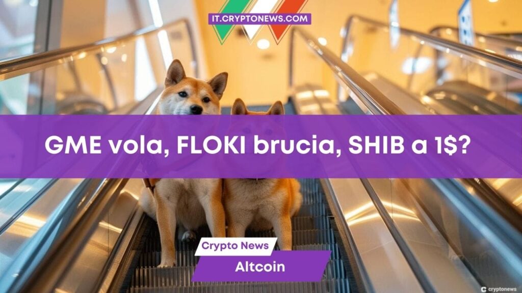 Meme coin: GME vola, FLOKI esplode: SHIB a 1$ nel 2050?