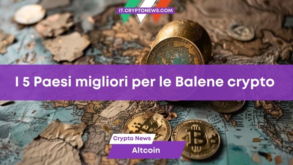 Dove risiedono le balene? Ecco i 5 migliori Paesi per i crypto investitori