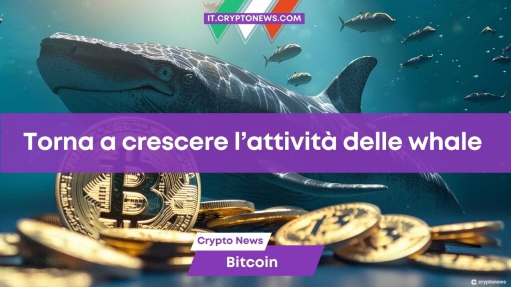 Dati blockchain: Cresce l’attività delle whale di Bitcoin, torna la fiducia sul mercato