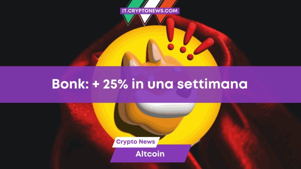 Bonk guida il rally delle meme coin su Solana: + 25% in una settimana