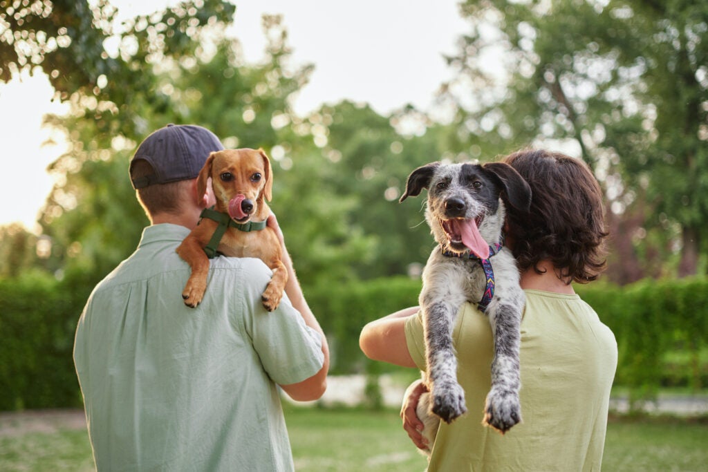 Raiffeisen CM: il benessere degli animali domestici come megatrend