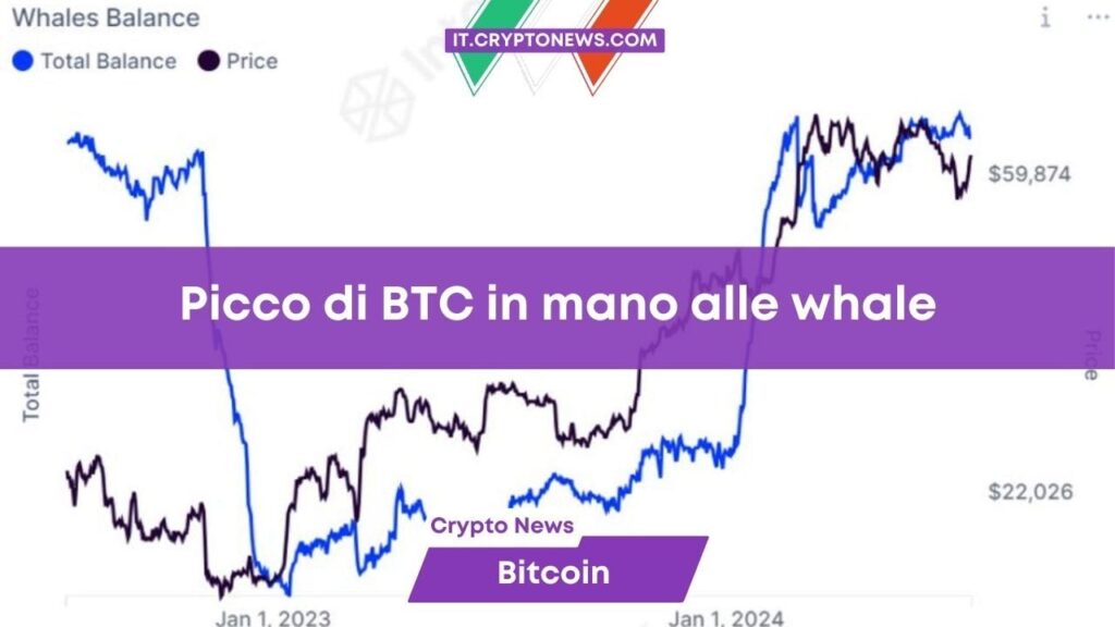 Previsione Bitcoin: Picco di BTC in mano alle whale in 2 anni