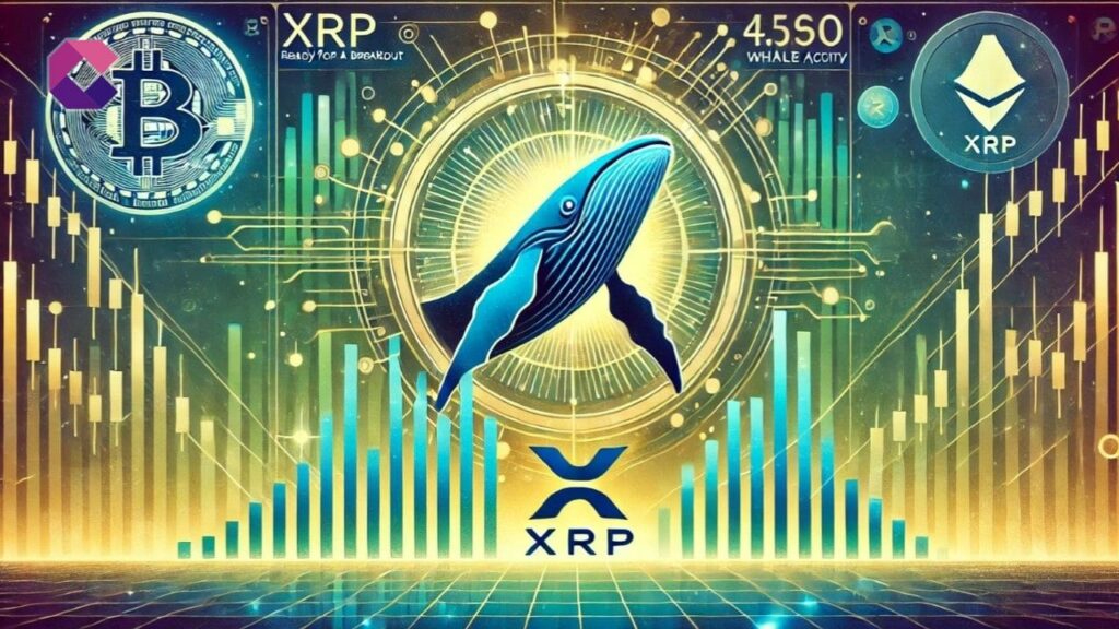 XRP è pronto per il breakout? L’attività delle balene indica un potenziale rialzo