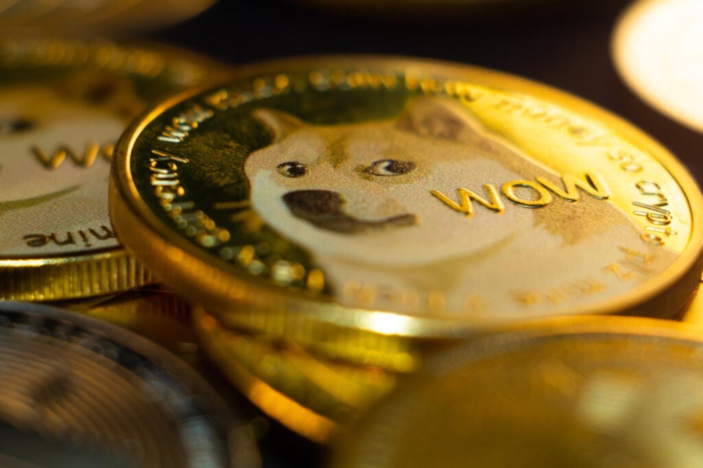 Rally Dogecoin: le balene sanno qualcosa che noi non sappiamo?