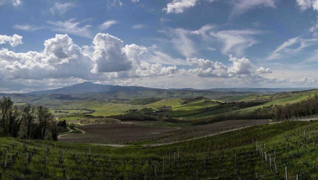 Tenuta del Trinoro, un brand di territorio creato dal nulla