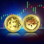 Dogecoin vs. Shiba Inu: chi ha guadagnato di più nell’ultimo anno?