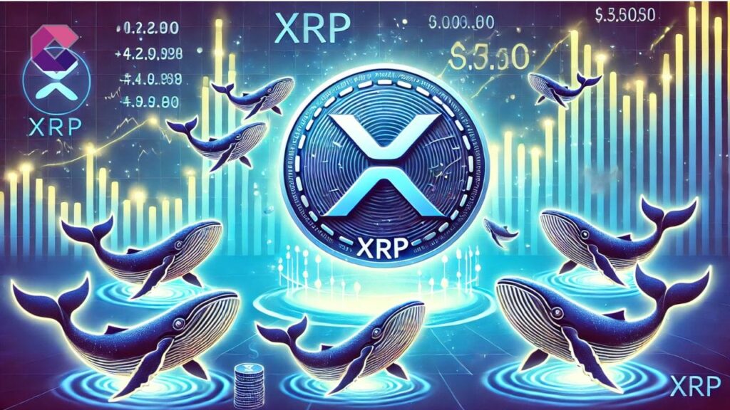 Il prezzo di XRP perde il supporto chiave dei ,50: Ripple continuerà a calare?