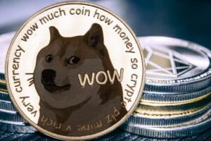 Dogecoin: la meme coin che tutti snobbavano ora sbarca a Wall Street