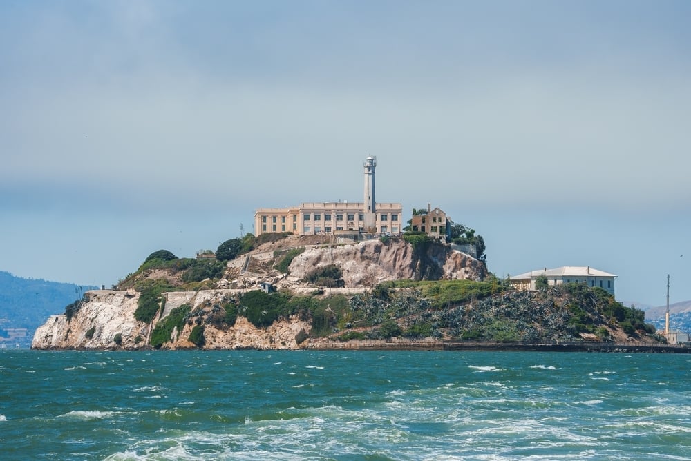 Da Alcatraz a un compenso da 29 milioni di dollari: la storia di Amy Hood, CFO di Microsoft