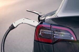 게리 블랙, 테슬라 지속 하락 이유로 수요 약세 및 아크 인베스트의 매도 지목