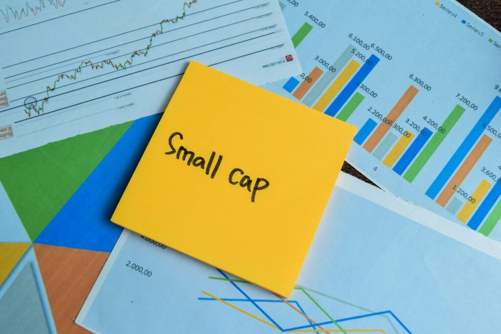 엔비디아·브로드컴은 잊어라”···2026년 반도체 랠리 주도할 5개 중소형주 엔비디아·브로드컴은 잊어라”···2026년 반도체 랠리 주도할 5개 중소형주