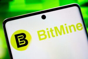 비트마인(BMNR), 이더리움 ETF 유출 확산·네트워크 지표 하락에 하방 리스크